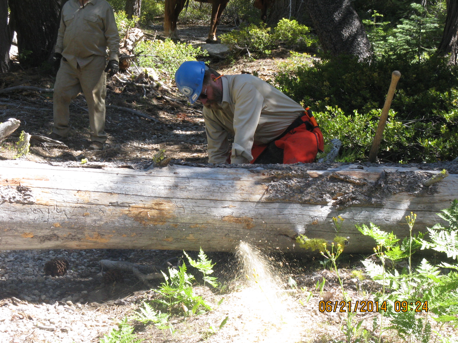 BCHC Clearing the Trail BCHC Clearing the Trail