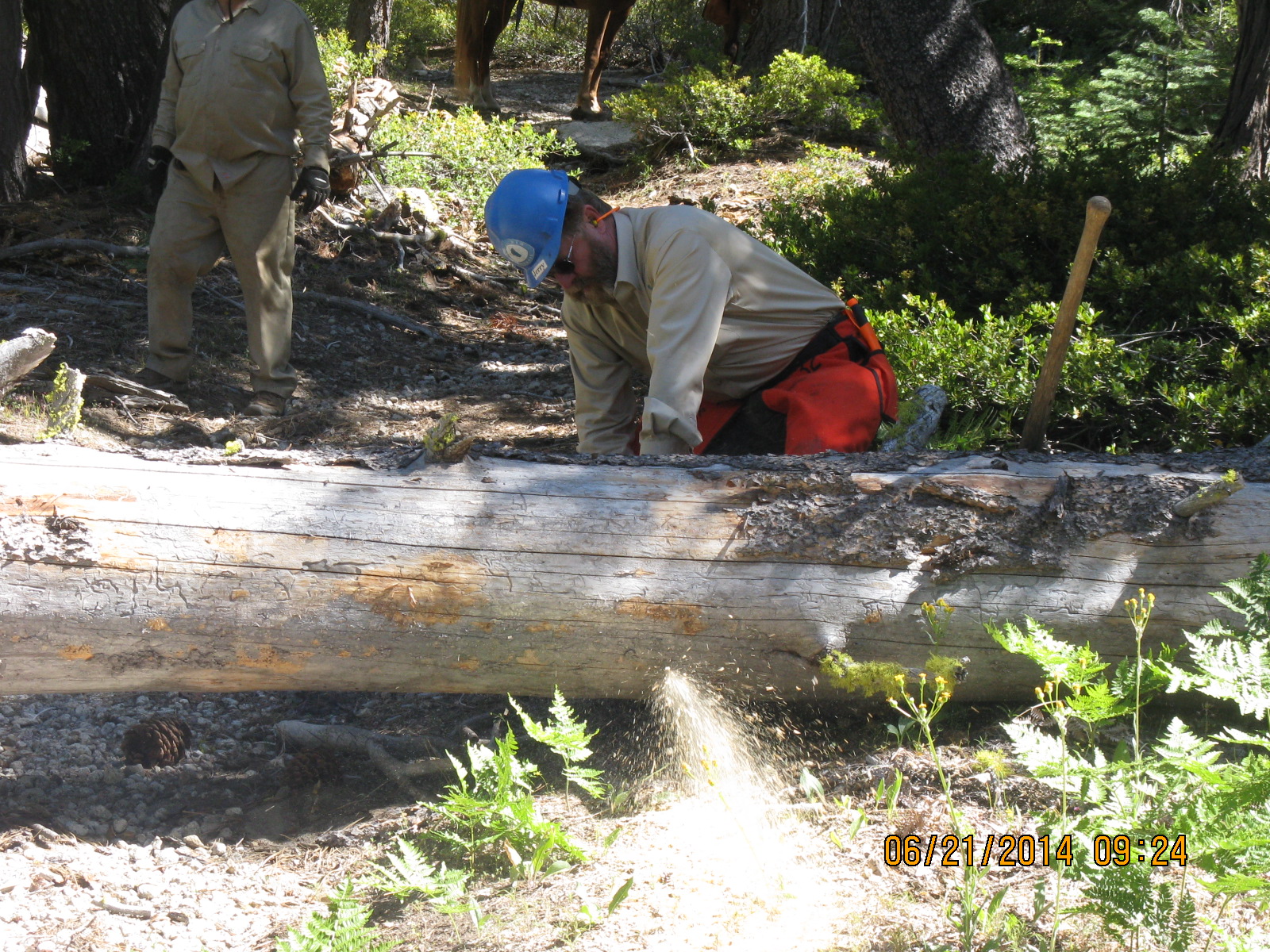 BCHC Clearing the Trail