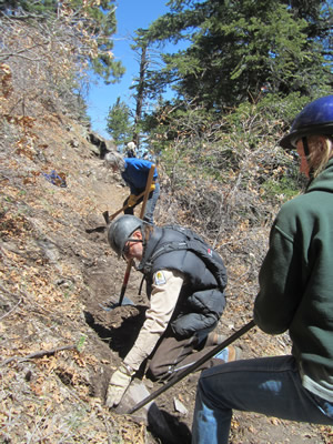 April 2013. Tread work (widening) on Spruce Trail in the Manzano Mountains, NM. This section of trail tends to slough off the mountain side. It is nice when hikers and equestrians avoid that fate.