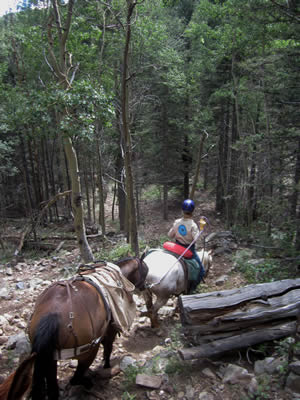 August 2013: Packed supplies for Volunteers for the Outdoors up and went down empty.  A really steep trail!