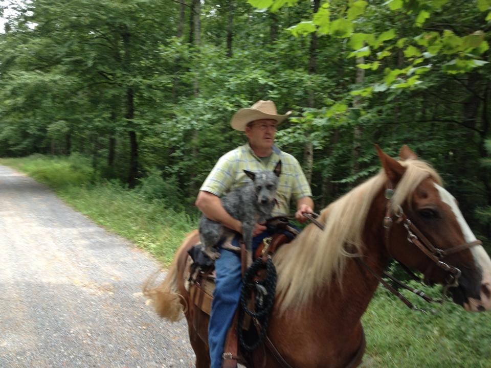 Larry Jeffers, east TN 