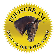 Equisure Insurance